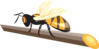 Bee On Twig Clip Art